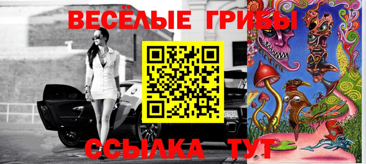 Псилоцибиновые грибы Psilocybe  Вход с VPN  Галлюциногенные грибы Magic Shrooms  Знаменск 